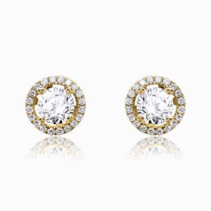 Shining earrings